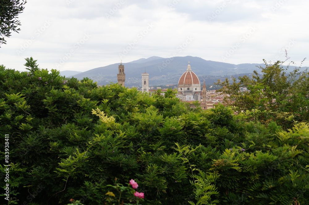 View of the Duomo, Florence Firenze, Italy View of the Duomo, Florence Firenze, Italy