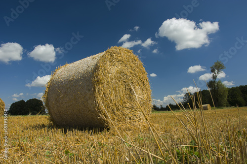 Obraz na płótnie A big circle of hay on the field