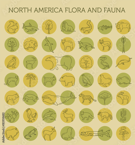 Flat North America flora and fauna  elements. Animals, birds and sea life simple line icon set