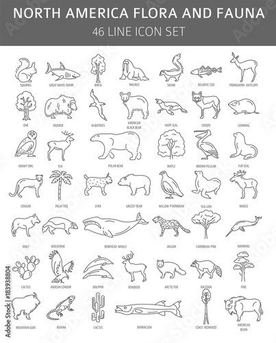 Flat North America flora and fauna  elements. Animals, birds and sea life simple line icon set