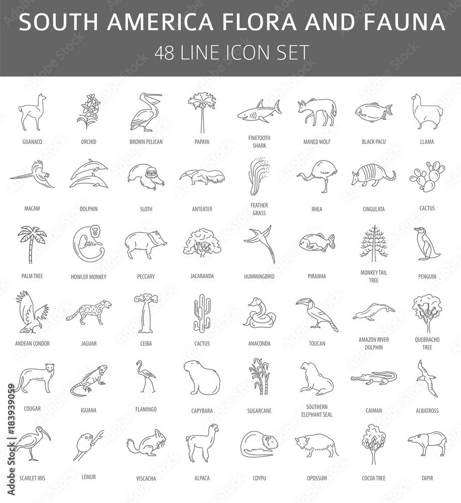 Flat South America flora and fauna  elements. Animals, birds and sea life simple line icon set