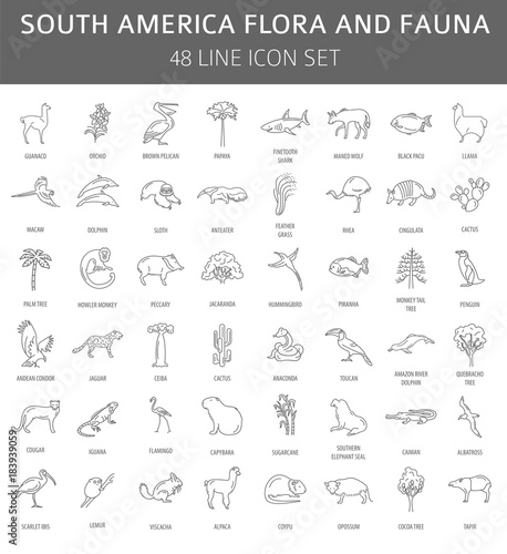 Flat South America flora and fauna elements. Animals, birds and sea life simple line icon set