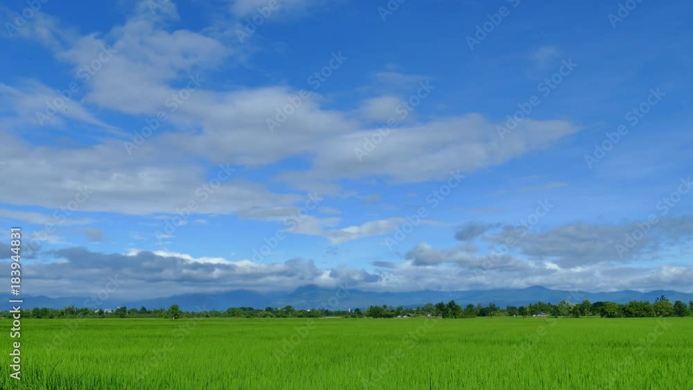clouds over the green field. 4K clouds over the green field. 4K