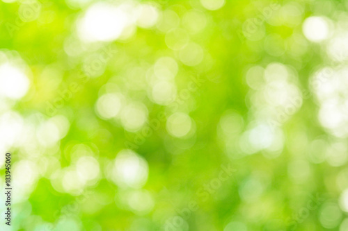 Natural Pastel Green and Yellow Abstract Bokeh Background