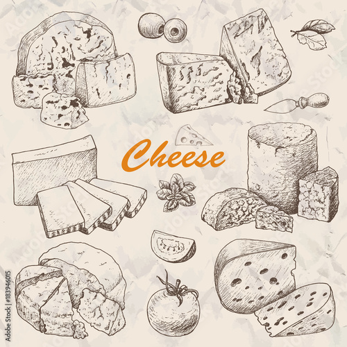 Vector collection of different kinds of cheese