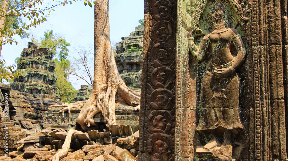 Naklejka premium angkor