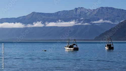 kiwi's ship