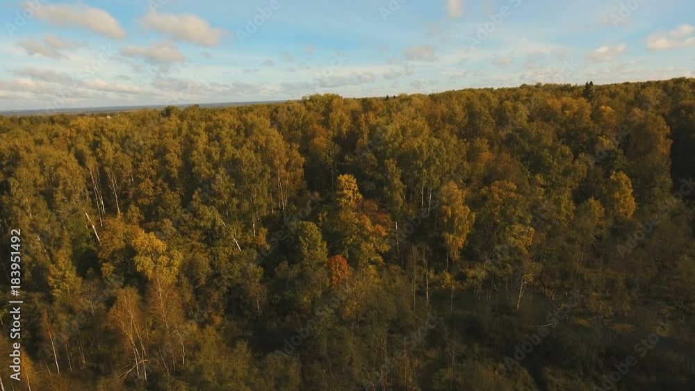 Aerial view of the forest under clouds during the autumn.Aerial view of fall foliage.Aerial view of forest during calm autumn day.Autumn forest landscape. 4K video,4K. Aerial view of the forest under clouds during the autumn.Aerial view of fall foliage.Aerial view of forest during calm autumn day.Autumn forest landscape. 4K video,4K.