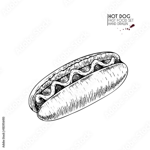 Hand drawn set of fast food. American hot dof with sausage, ketchup, mustard. engraved vector illustration. Isolated on white. For restaurant, menu, street food, bakery, cafe, logo, flyer