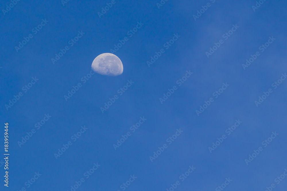 Haft moon in the blue sky while morning. Haft moon in the blue sky while morning.