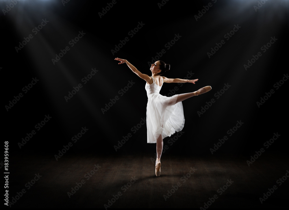 Obraz premium Ballerina (on hall version)