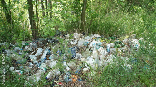 Trash In The Forest