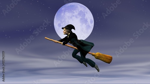 Quadro su tela Befana su scopa volante con sfondo la luna
