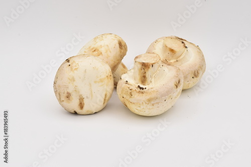 Whitecap Mushrooms on a White Background