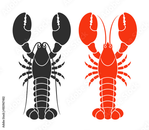 Red lobster. Isolated lobster on white background