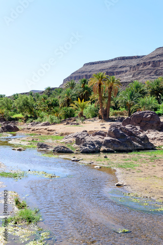 Oasis De Fint Morocco