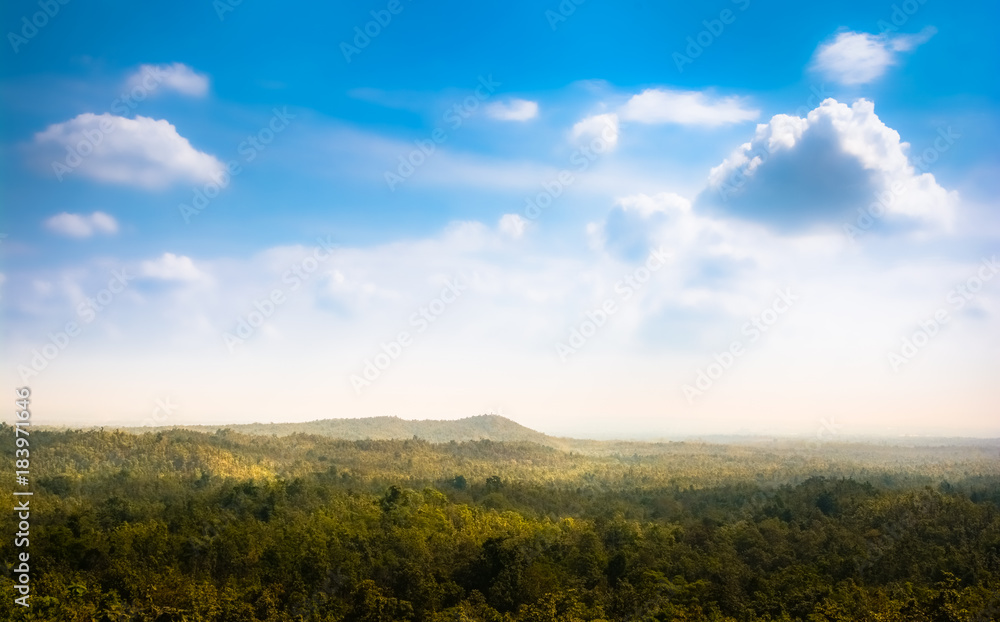 Deep Tropical forest with blue sky.