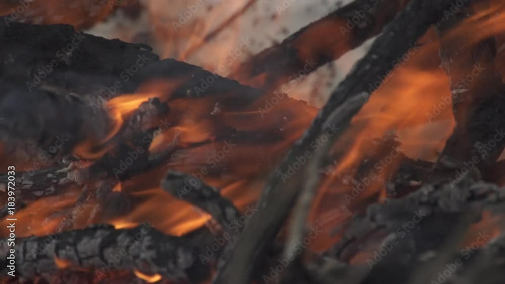 Burning wood in campfire, close up Burning wood in campfire, close up