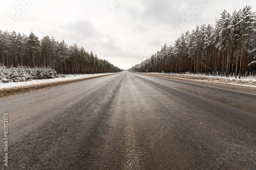 icy road passing through a picturesque pine forest