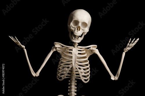 Portrait of surprised skeleton standing over black background.