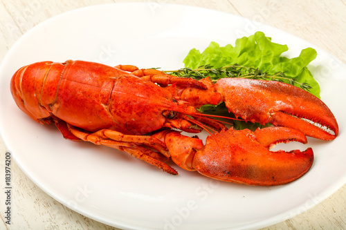 Lobster