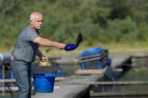 Man scattering food into commercial fish enclosure photo