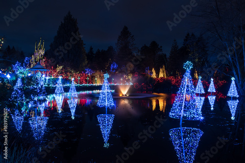 Christimas lights on a lake