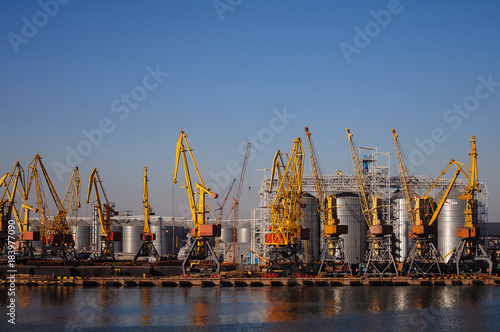 Industrial cranes in port on a background of blue sky