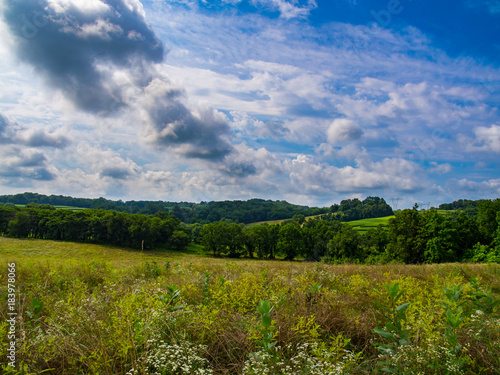 Outdoor Fields and Forest  Meadow  Blue Sky