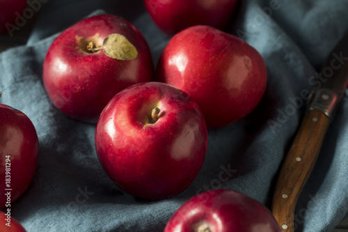 Canvas Print Red Organic Macintosh Apples