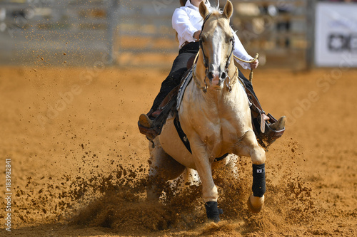 The front view of a rider in cowboy chaps and boots sliding the horse into the sand