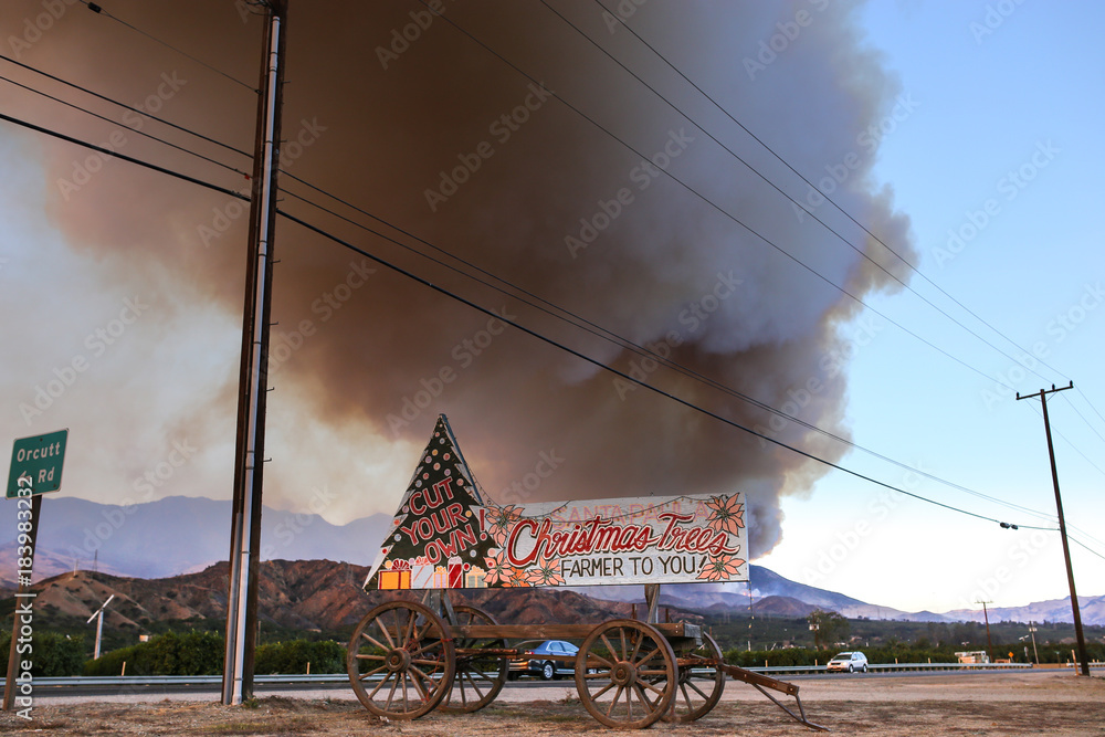 Christmas trees selling sign during the Thomas Fire in Ventura county