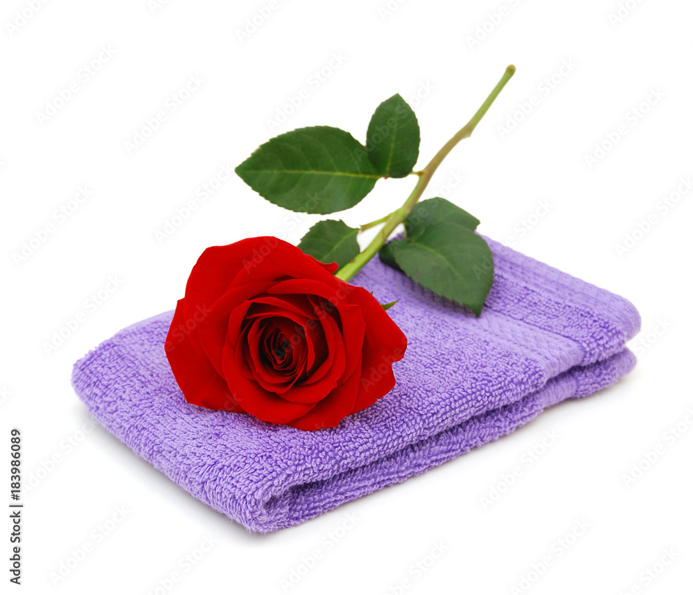 Stack of purple towel closeup and rose flower Stack of purple towel closeup and rose flower