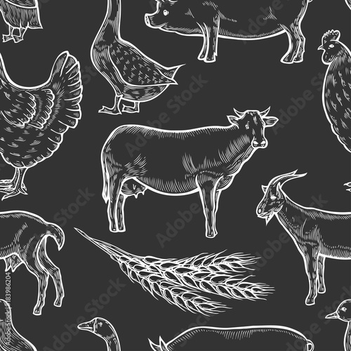 Farm animal background