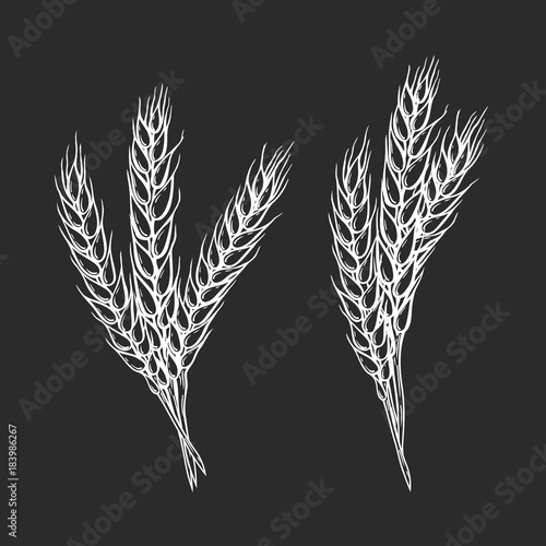 Wheat bread ears