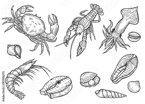 Marine Healthy seafood