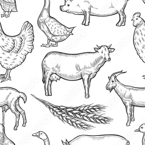 Farm animal background