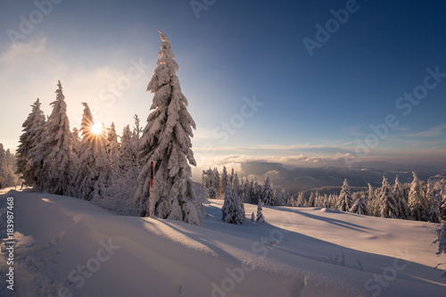 verschneite Winterlandschaft im Schwarzwald, Hornisgrinde