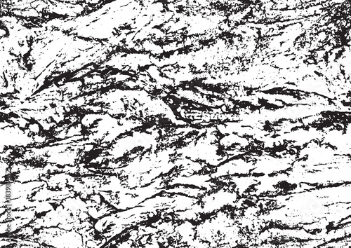 Seamless pattern, texture, tree bark, relief, surface of soil, stone, lines, bends, stems and roots of wood plants .Vector illustration.