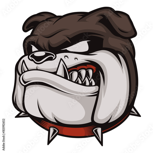 Head of Angry Bulldog