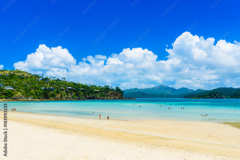 Catseye beach on hamilton island