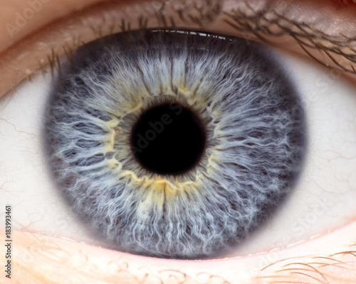 Fotografie, Obraz Macro photo of human eye, iris, pupil, eye lashes, eye lids.