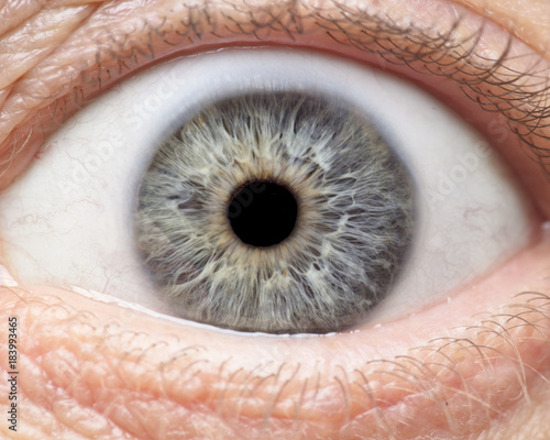 Macro photo of human eye, iris, pupil, eye lashes, eye lids.