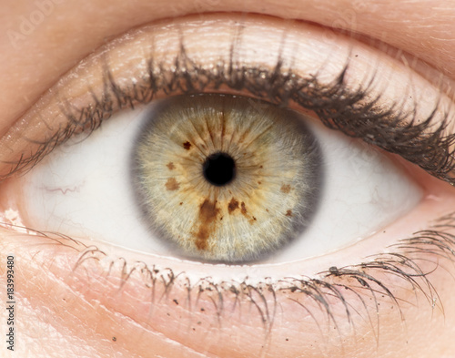 Macro photo of human eye, iris, pupil, eye lashes, eye lids.