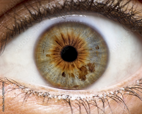 Macro photo of human eye, iris, pupil, eye lashes, eye lids.