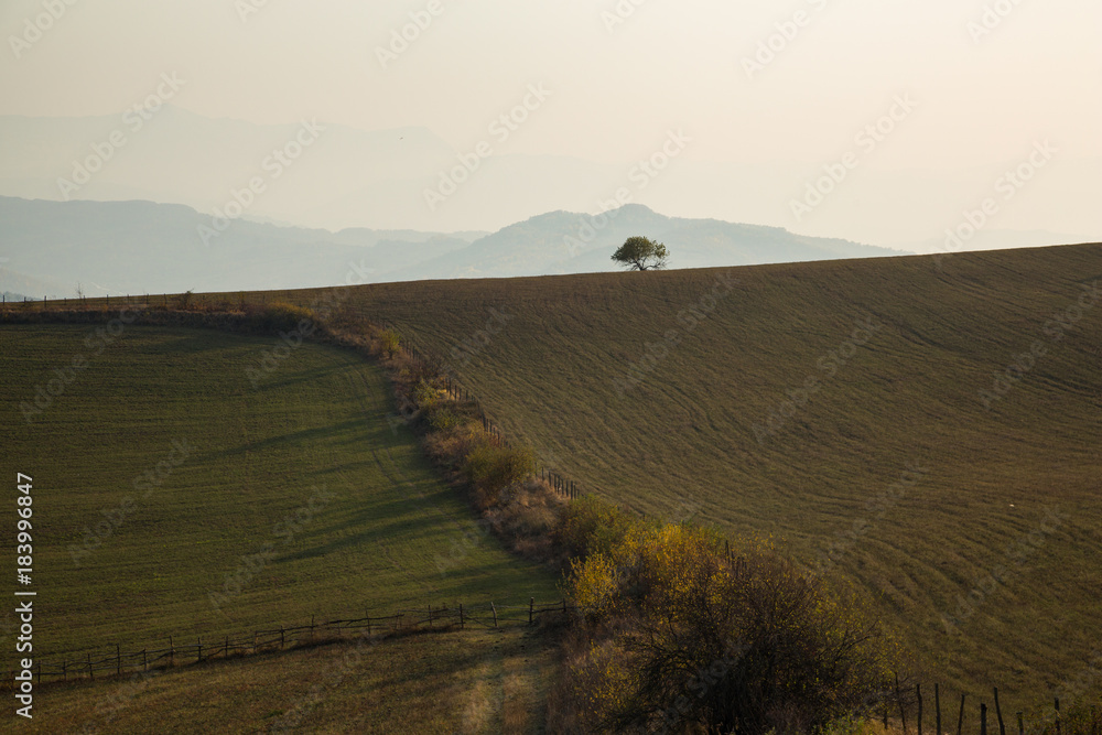 Obraz premium colorful autumn in the mountains