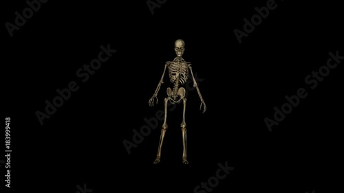 Skeleton Funny Dance,alpha channel