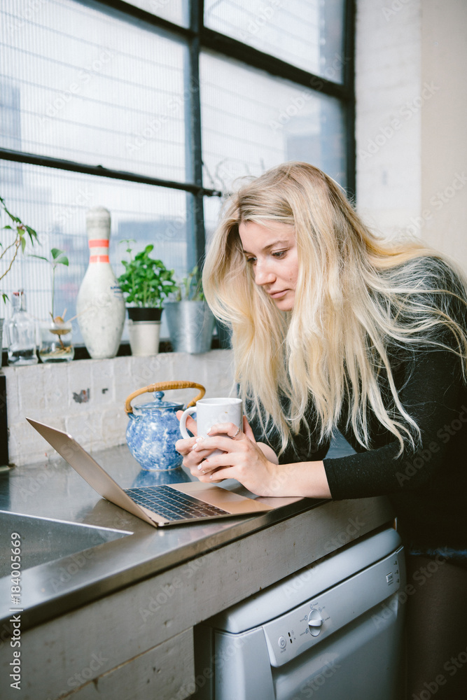 Young businesswoman using a laptop Young businesswoman using a laptop