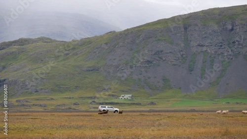 ICELAND Rettir sheep Schaf shepherd photo