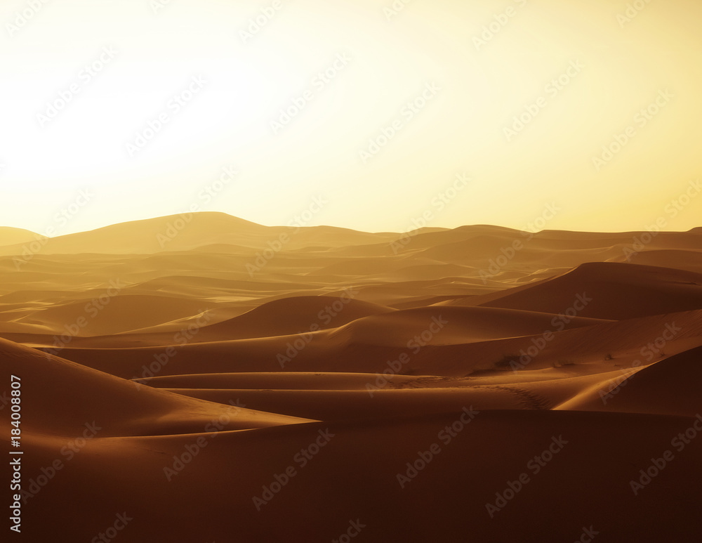 Sahara Desert Morocco